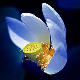 《宇宙机器人》世界规模是前作4倍大 没有微交易